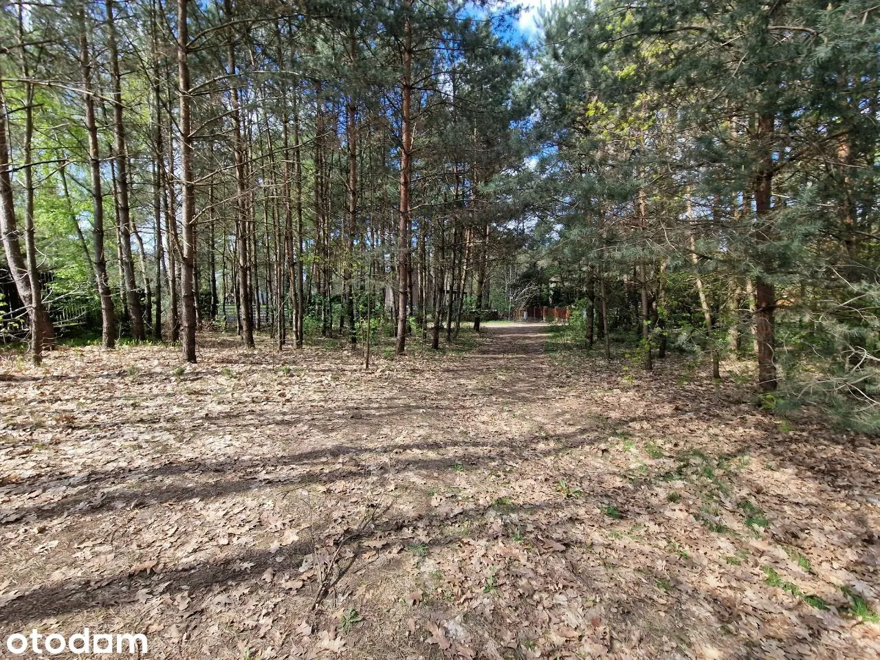 Działka budowlana 1147 m² przy jeziorze — zdjęcie 5 z 12