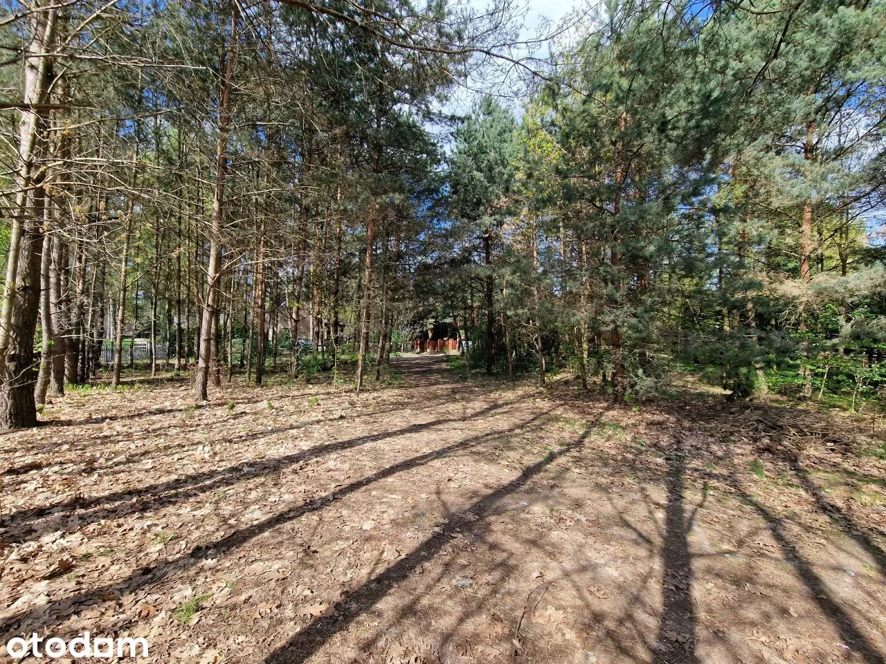 Działka budowlana 1147 m² przy jeziorze — zdjęcie 6 z 12