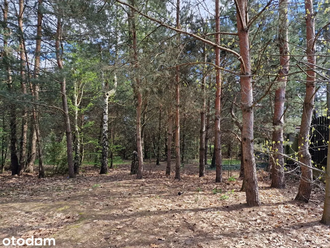 Działka budowlana 1147 m² przy jeziorze — zdjęcie 7 z 12