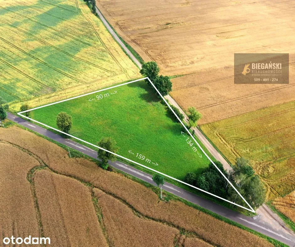 Działka budowlana 6000 m²