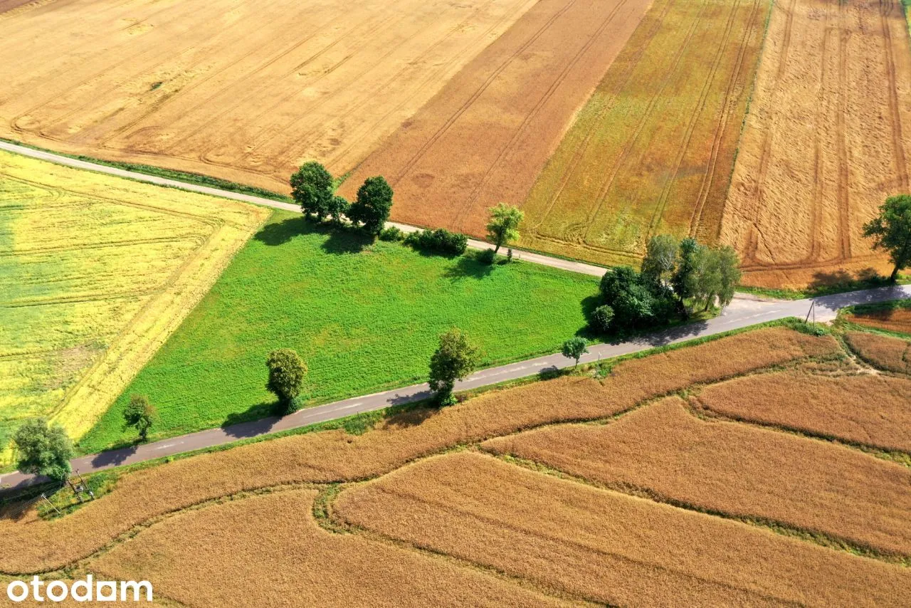 Działka budowlana 6000 m² — zdjęcie 2 z 7