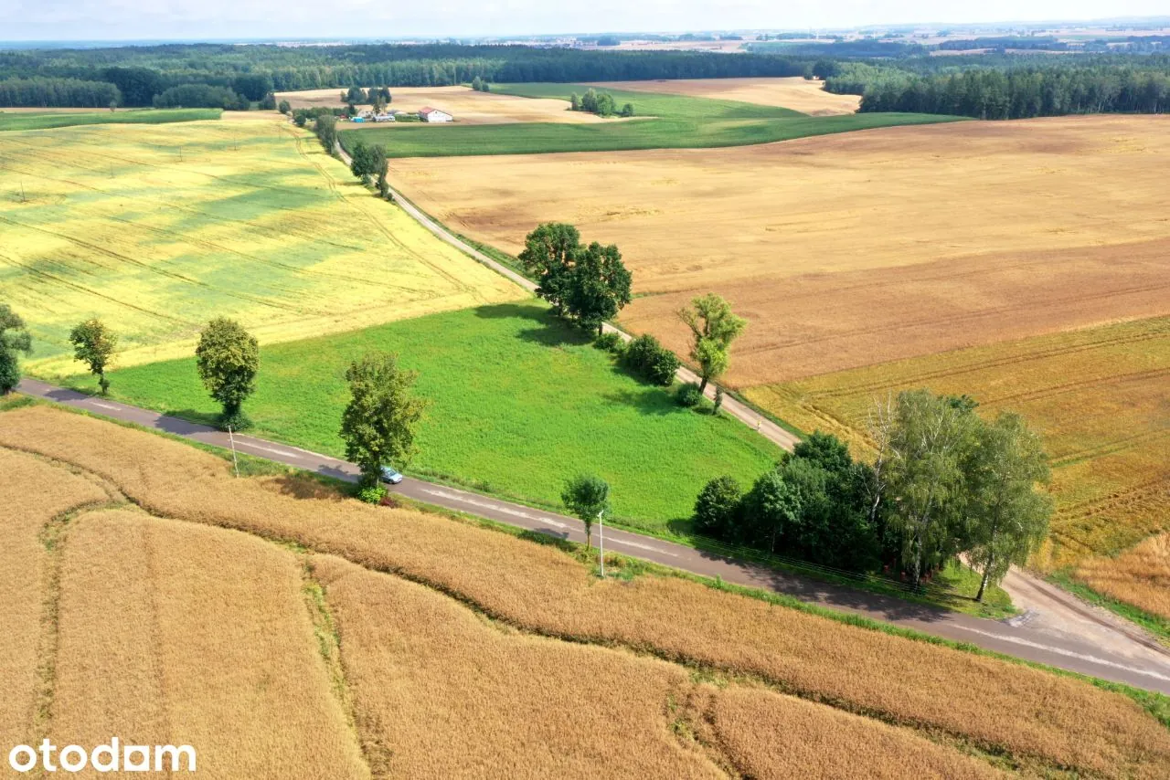 Działka budowlana 6000 m² — zdjęcie 3 z 7