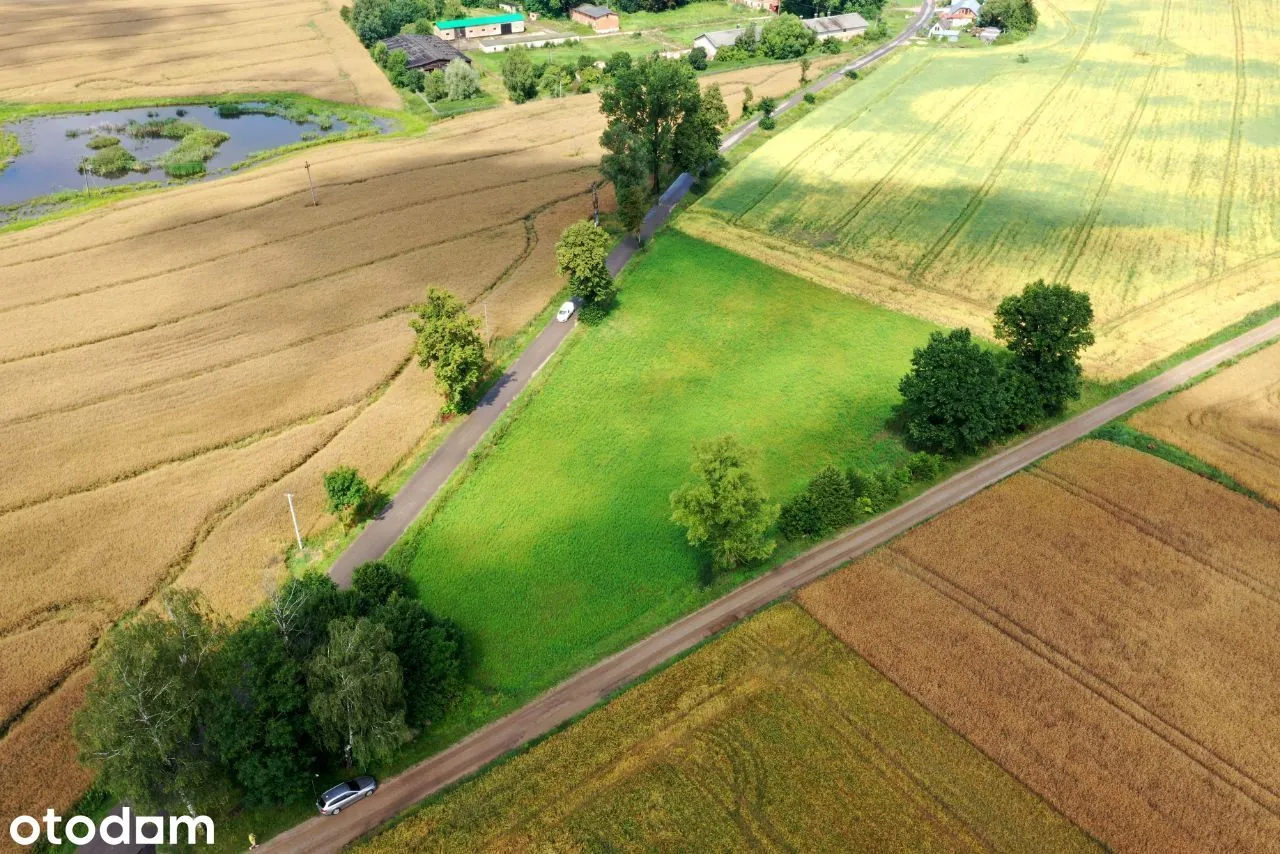 Działka budowlana 6000 m² — zdjęcie 4 z 7