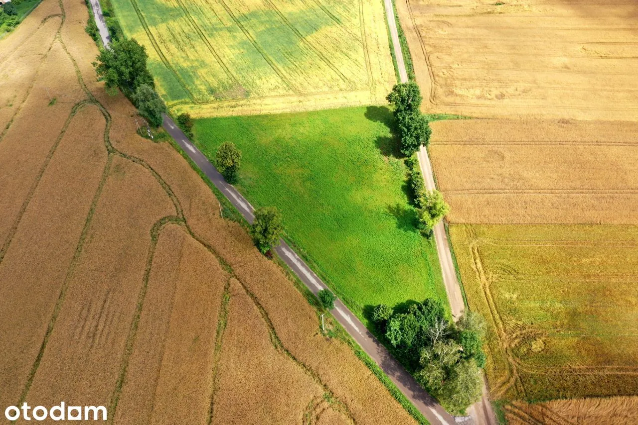 Działka budowlana 6000 m² — zdjęcie 5 z 7